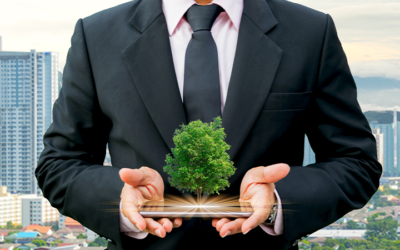 Como aplicar práticas sustentáveis a fim de alavancar os negócios